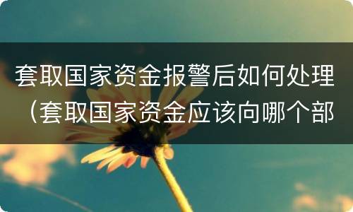 套取国家资金报警后如何处理（套取国家资金应该向哪个部门举报）