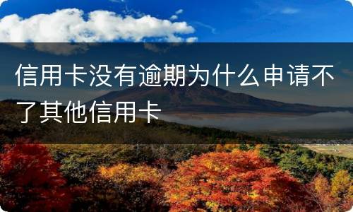 信用卡没有逾期为什么申请不了其他信用卡