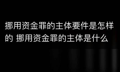 挪用资金罪的主体要件是怎样的 挪用资金罪的主体是什么