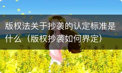 版权法关于抄袭的认定标准是什么（版权抄袭如何界定）