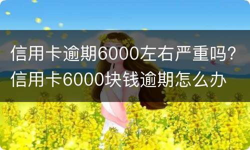 信用卡逾期6000左右严重吗? 信用卡6000块钱逾期怎么办