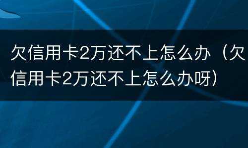 欠信用卡2万还不上怎么办（欠信用卡2万还不上怎么办呀）