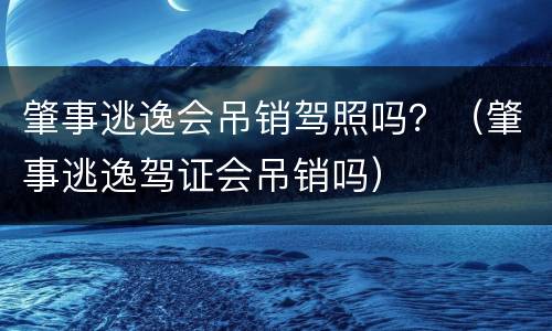 肇事逃逸会吊销驾照吗？（肇事逃逸驾证会吊销吗）