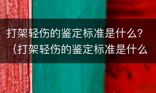 打架轻伤的鉴定标准是什么？（打架轻伤的鉴定标准是什么）