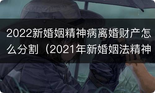 2022新婚姻精神病离婚财产怎么分割（2021年新婚姻法精神病人离婚）