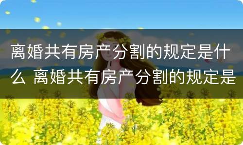 离婚共有房产分割的规定是什么 离婚共有房产分割的规定是什么呢