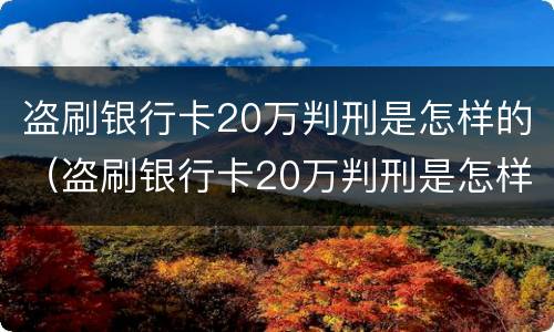 盗刷银行卡20万判刑是怎样的（盗刷银行卡20万判刑是怎样的程序）