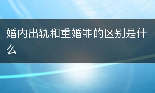 婚内出轨和重婚罪的区别是什么