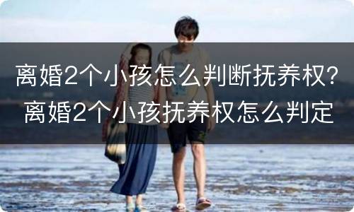 离婚2个小孩怎么判断抚养权？ 离婚2个小孩抚养权怎么判定