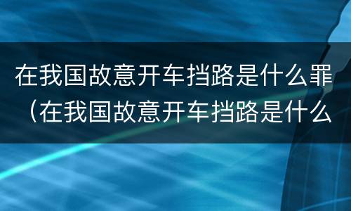 在我国故意开车挡路是什么罪（在我国故意开车挡路是什么罪刑法）