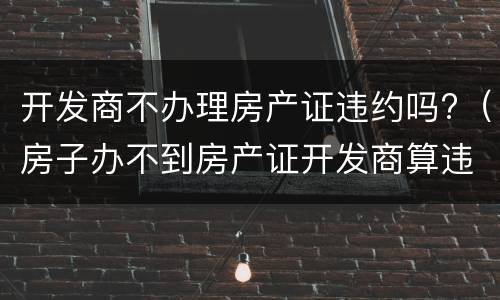 开发商不办理房产证违约吗?（房子办不到房产证开发商算违约吗）