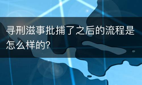 寻刑滋事批捕了之后的流程是怎么样的？