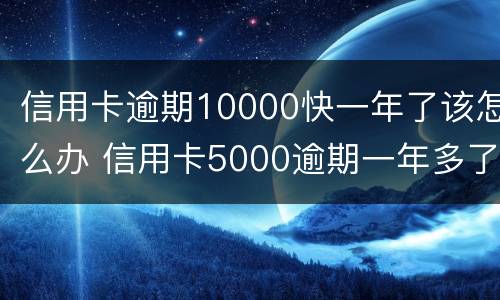 信用卡逾期10000快一年了该怎么办 信用卡5000逾期一年多了怎么办