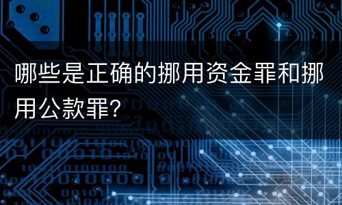 哪些是正确的挪用资金罪和挪用公款罪？