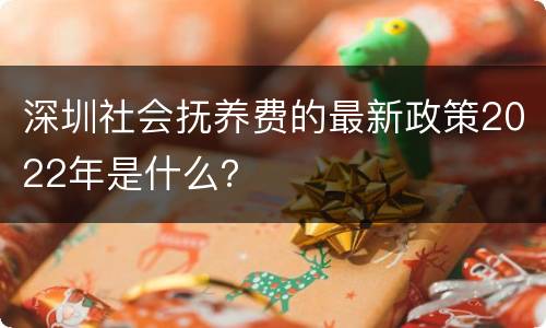 深圳社会抚养费的最新政策2022年是什么？