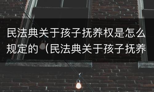 民法典关于孩子抚养权是怎么规定的（民法典关于孩子抚养权是怎么规定的呢）