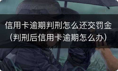 信用卡逾期判刑怎么还交罚金（判刑后信用卡逾期怎么办）