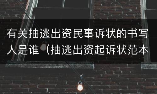 有关抽逃出资民事诉状的书写人是谁（抽逃出资起诉状范本）