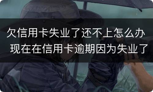 欠信用卡失业了还不上怎么办 现在在信用卡逾期因为失业了怎么办