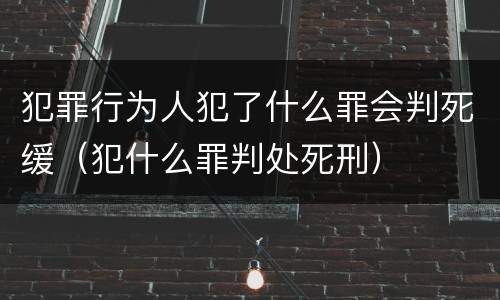 犯罪行为人犯了什么罪会判死缓（犯什么罪判处死刑）