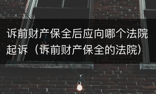 诉前财产保全后应向哪个法院起诉（诉前财产保全的法院）