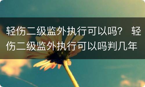 轻伤二级监外执行可以吗？ 轻伤二级监外执行可以吗判几年