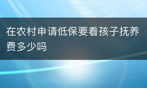 在农村申请低保要看孩子抚养费多少吗