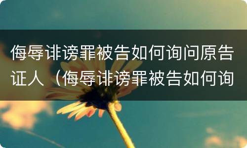 侮辱诽谤罪被告如何询问原告证人（侮辱诽谤罪被告如何询问原告证人的情况）