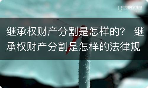 继承权财产分割是怎样的？ 继承权财产分割是怎样的法律规定