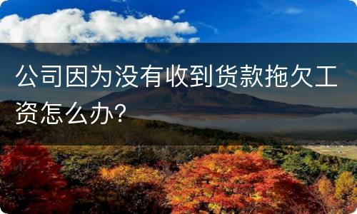 公司因为没有收到货款拖欠工资怎么办？