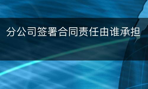 分公司签署合同责任由谁承担