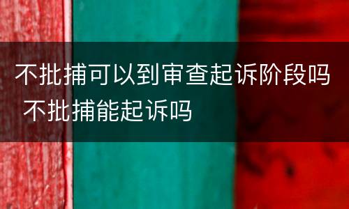 不批捕可以到审查起诉阶段吗 不批捕能起诉吗