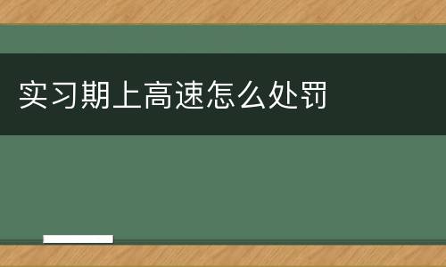 实习期上高速怎么处罚