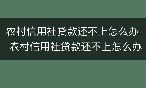 农村信用社贷款还不上怎么办 农村信用社贷款还不上怎么办担保人