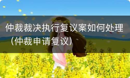 仲裁裁决执行复议案如何处理（仲裁申请复议）