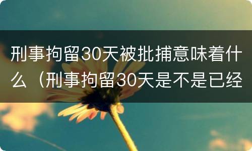 刑事拘留30天被批捕意味着什么（刑事拘留30天是不是已经批捕）