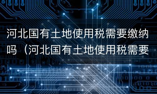 河北国有土地使用税需要缴纳吗（河北国有土地使用税需要缴纳吗多少钱）