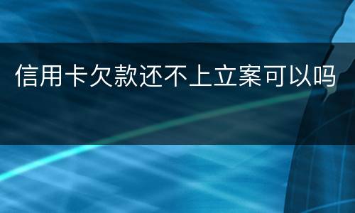 信用卡欠款还不上立案可以吗