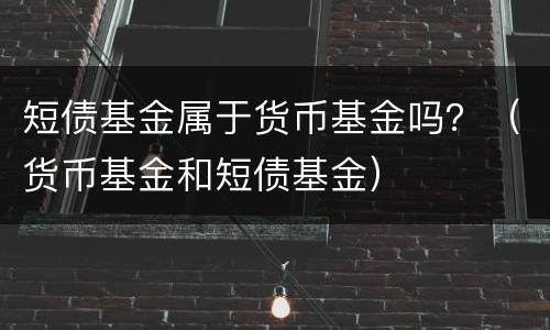 短债基金属于货币基金吗？（货币基金和短债基金）