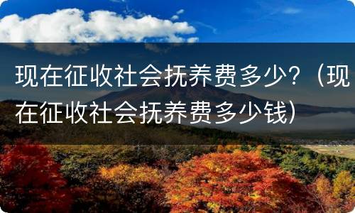 现在征收社会抚养费多少?（现在征收社会抚养费多少钱）