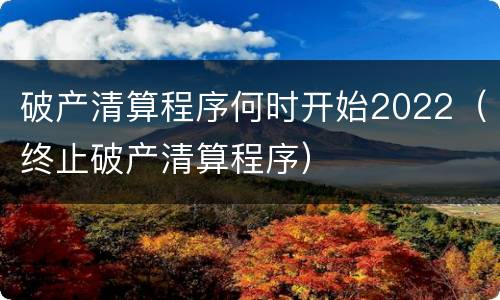 破产清算程序何时开始2022（终止破产清算程序）