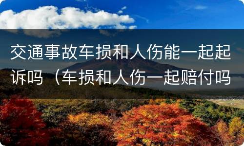 交通事故车损和人伤能一起起诉吗（车损和人伤一起赔付吗）