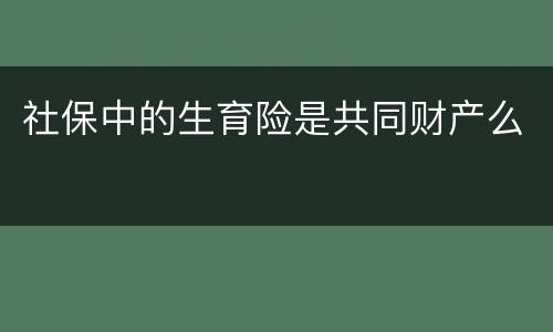 社保中的生育险是共同财产么