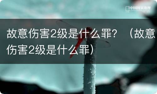 故意伤害2级是什么罪？（故意伤害2级是什么罪）