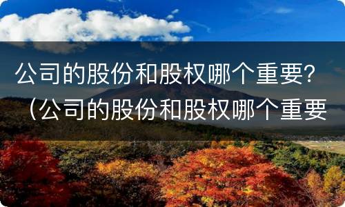 公司的股份和股权哪个重要？（公司的股份和股权哪个重要一点）