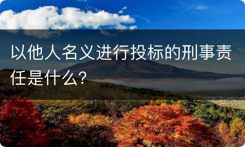 以他人名义进行投标的刑事责任是什么？