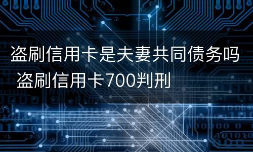 盗刷信用卡是夫妻共同债务吗 盗刷信用卡700判刑