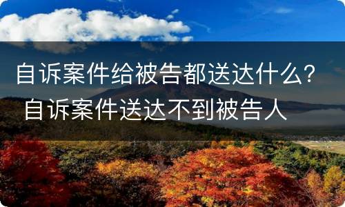 自诉案件给被告都送达什么？ 自诉案件送达不到被告人