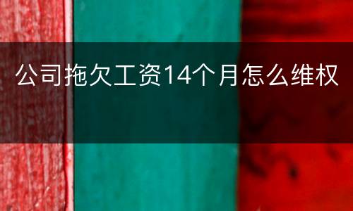 公司拖欠工资14个月怎么维权