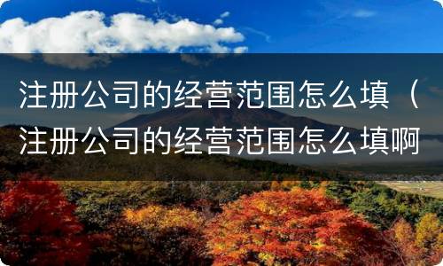 注册公司的经营范围怎么填（注册公司的经营范围怎么填啊）